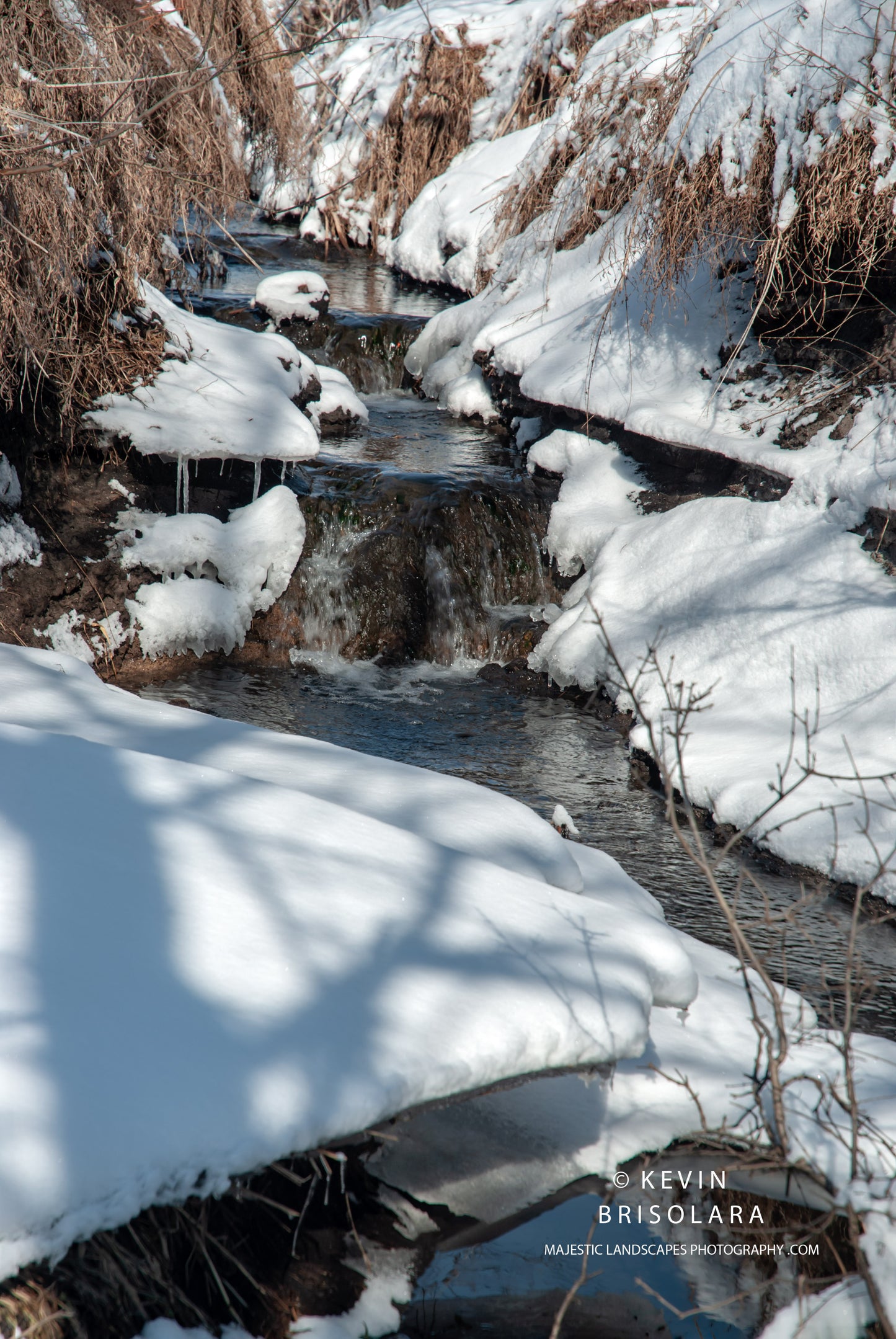 THE WATERFALL AND THE PRAIRIE