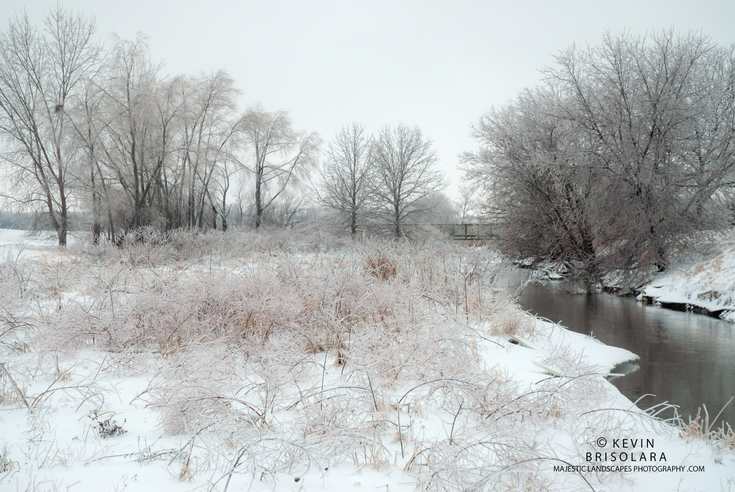 ICY LANDSCAPE FROM THE PARK