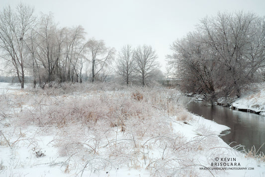 ICY LANDSCAPE FROM THE PARK