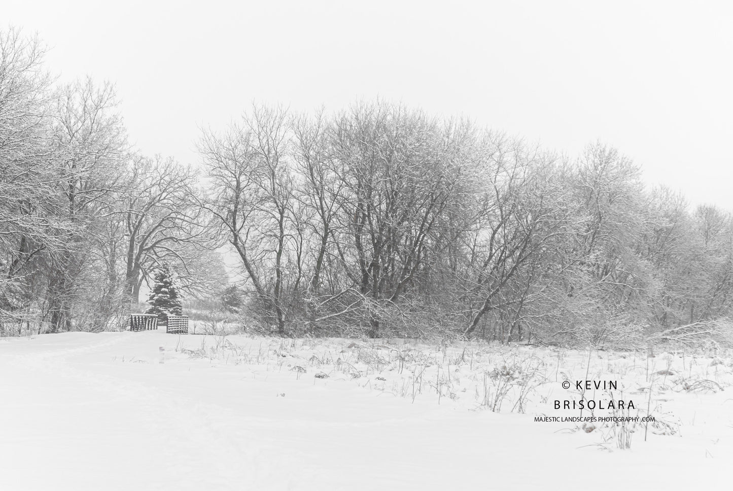 A BEAUTIFUL WINTER SCENE IN THE PARK