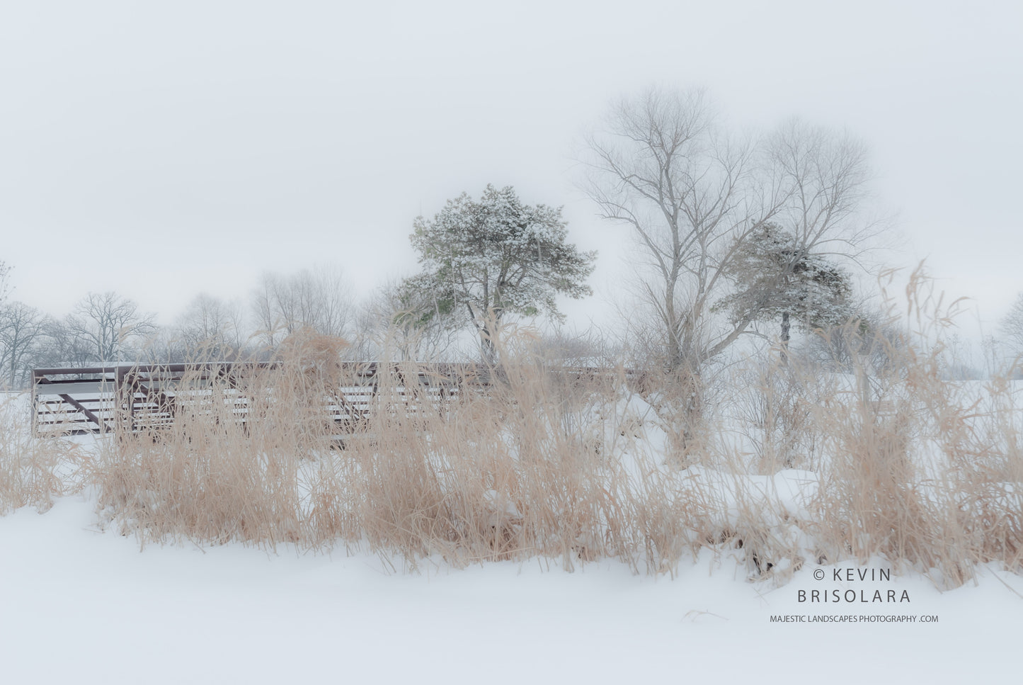 A MAJESTIC WINTER WONDERLAND