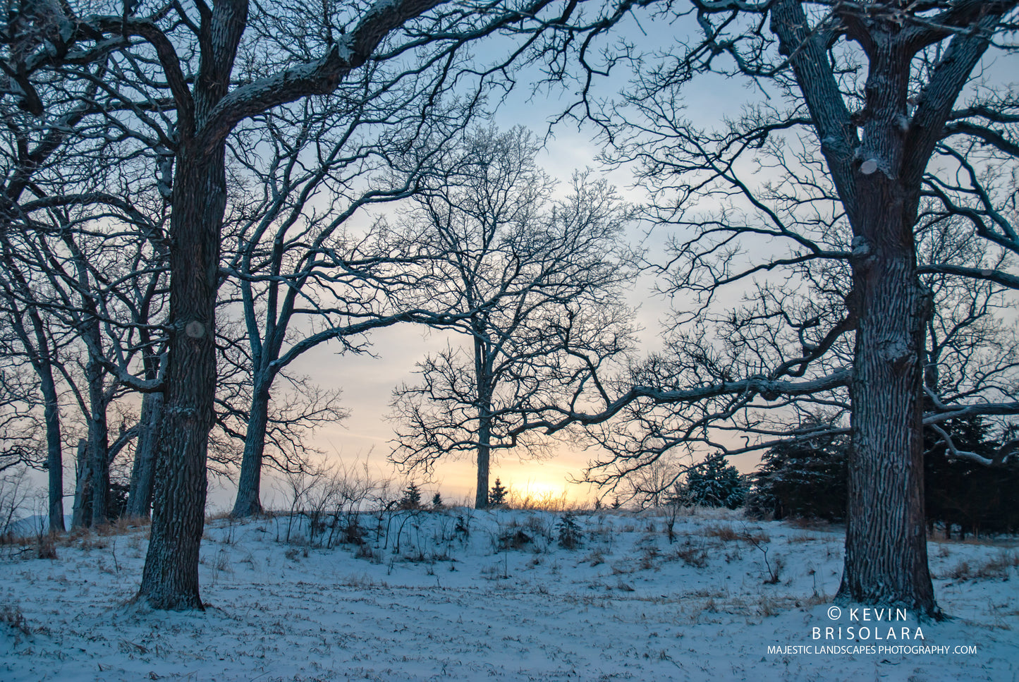 A WINTER WONDERLAND SUNSET FROM THE PARK