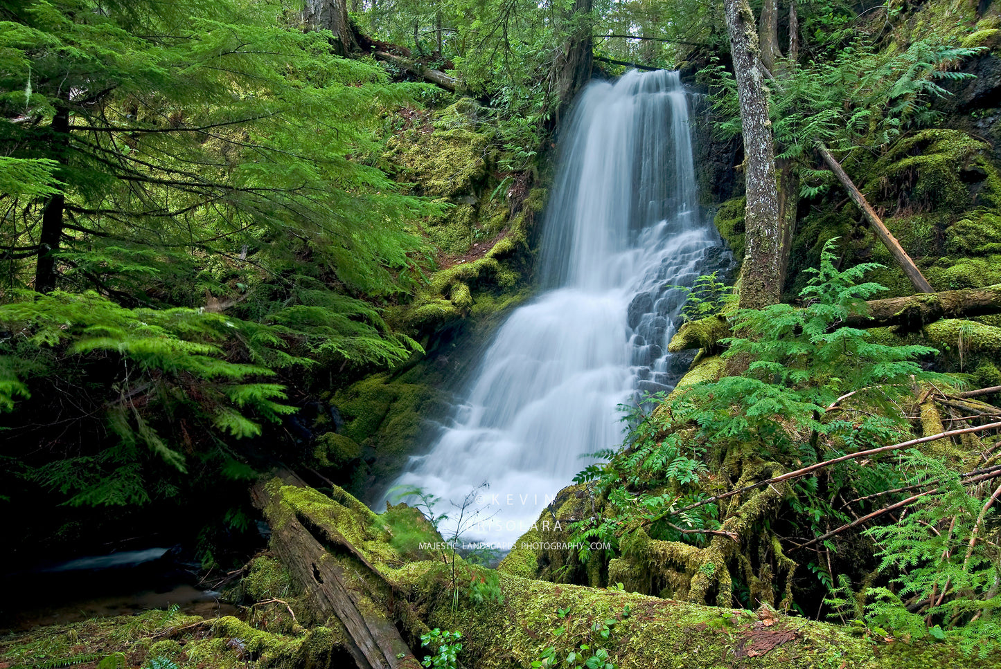 NOTE CARDS 212_378 UNNAMED WATERFALL, UMPQUA NATIONAL FOREST