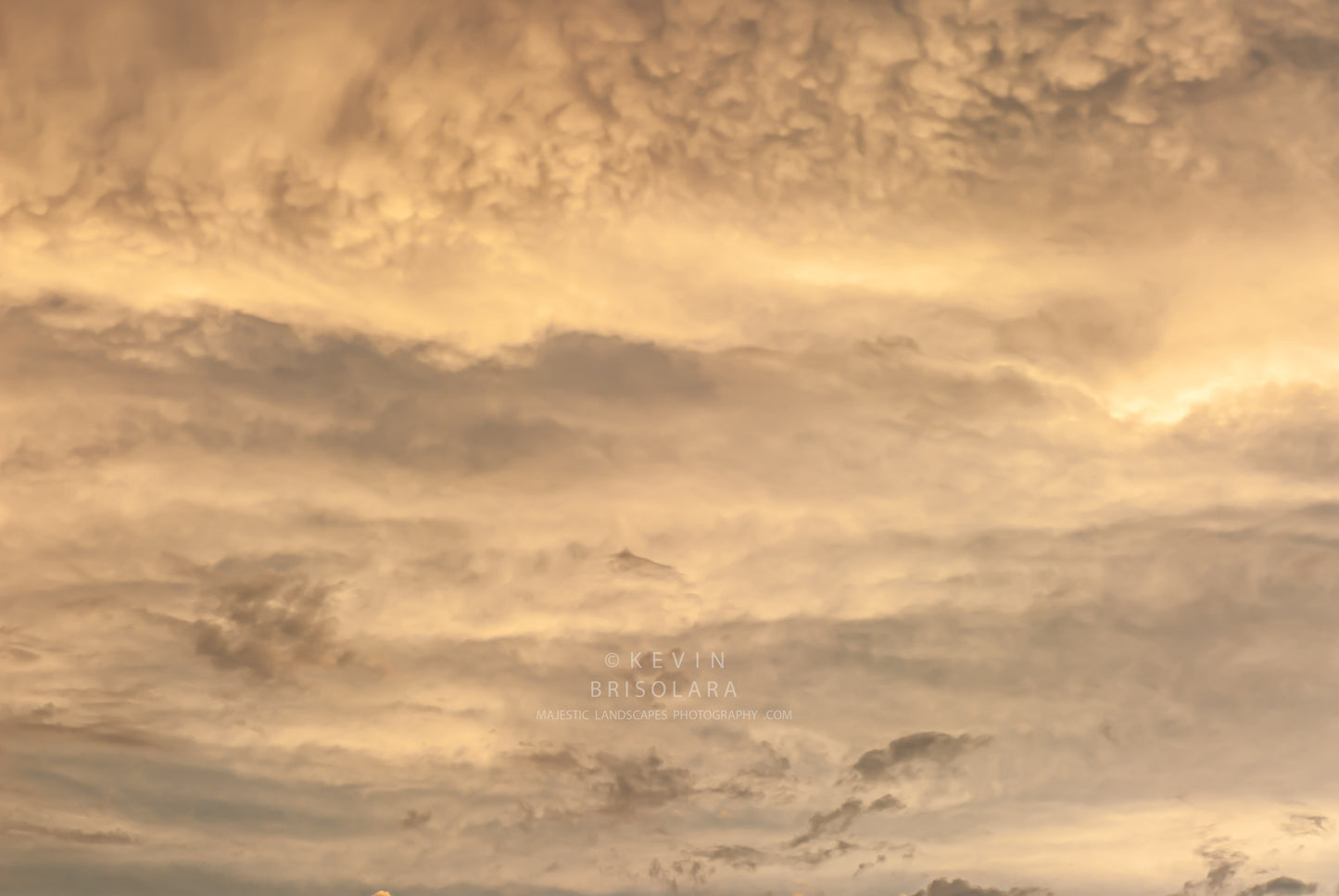 NOTE CARDS 385_596 SUNRISE, WILDFLOWER PARK