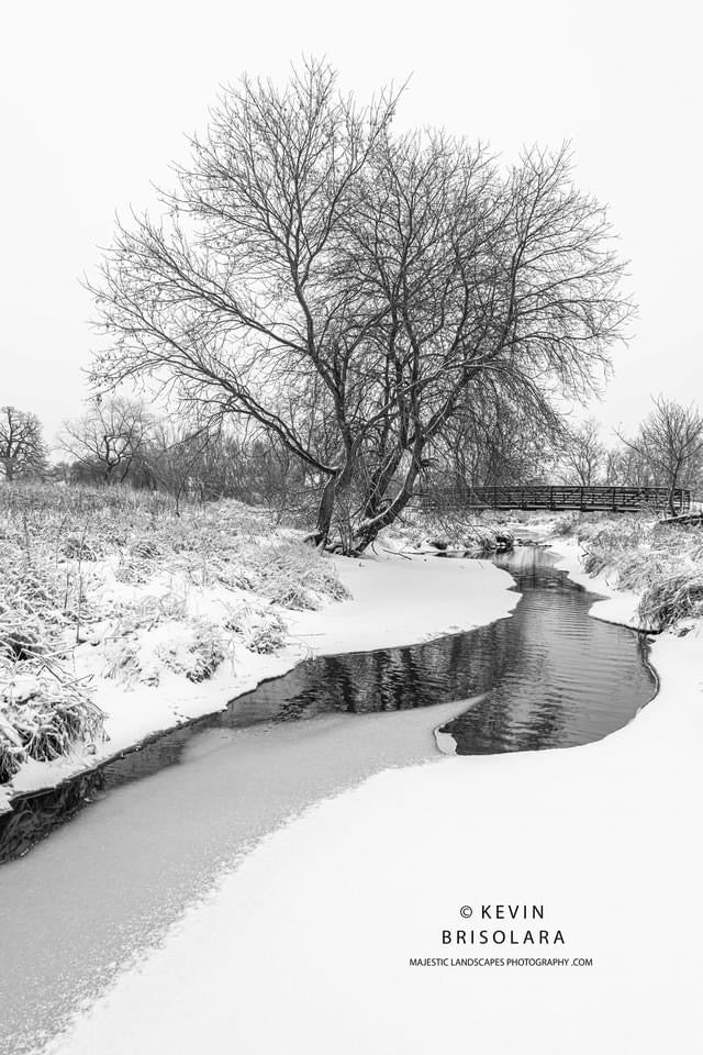 THE EDGES OF A CREEK