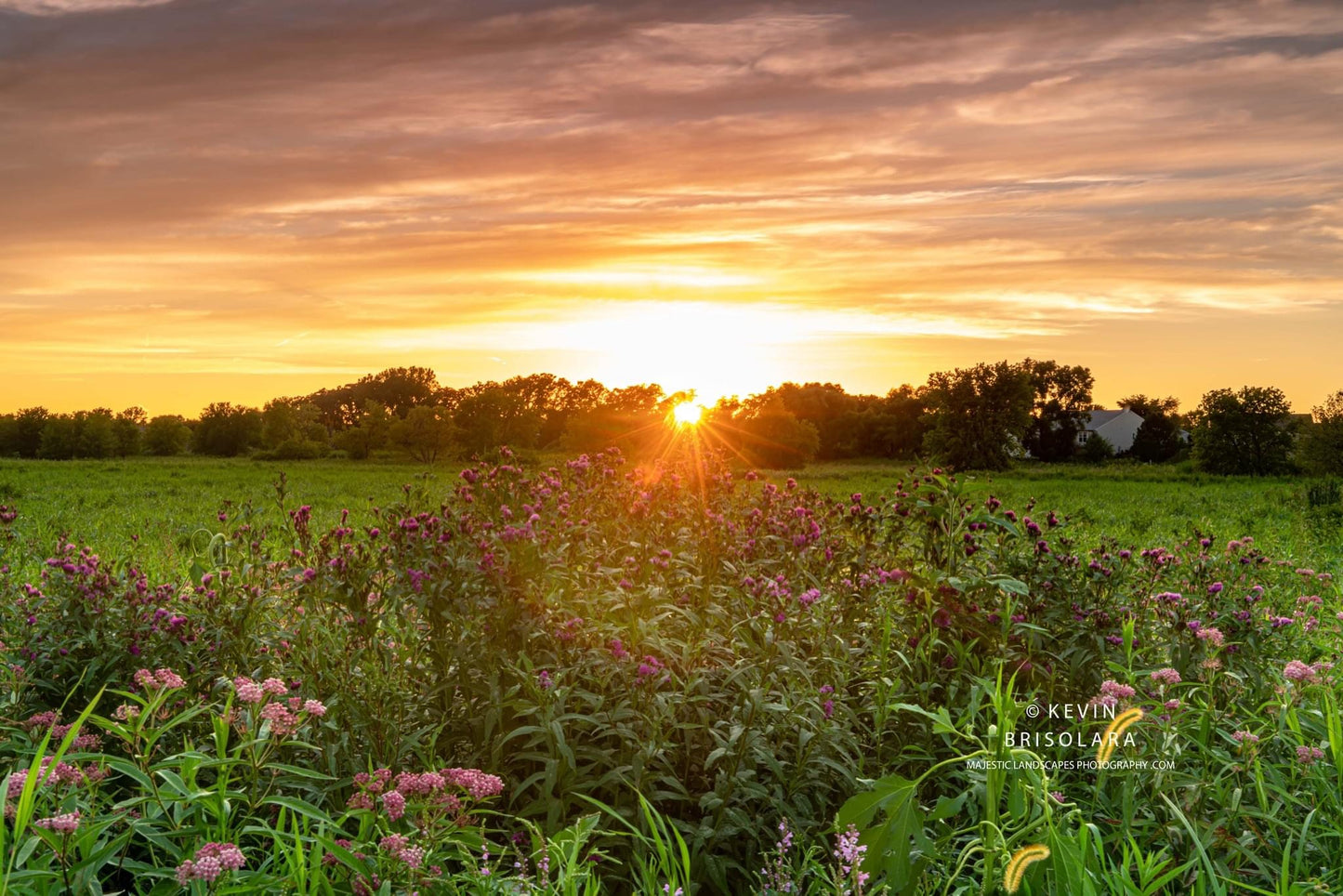 A GORGEOUS VIEW FROM THE PRAIRIE