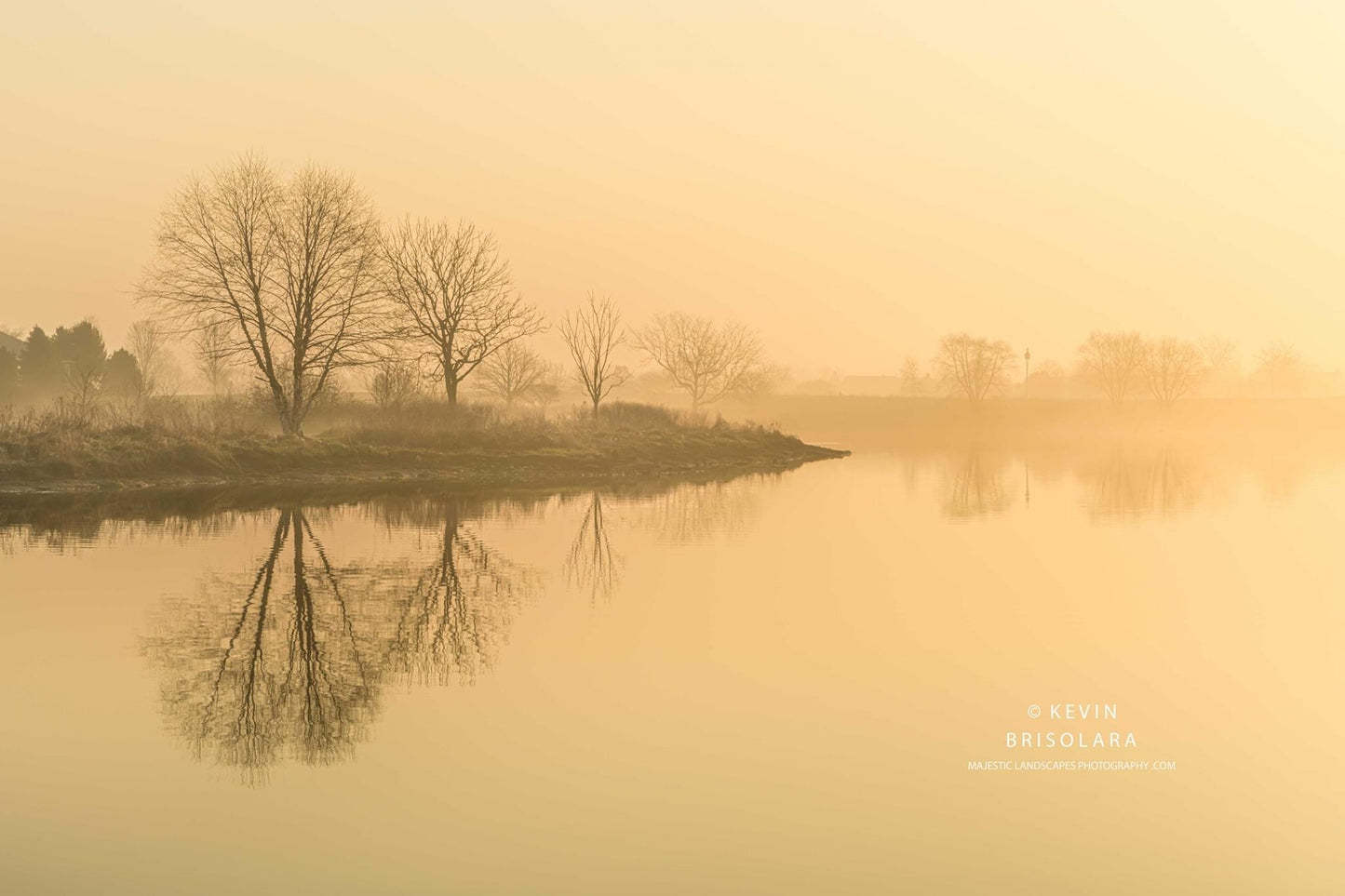 WATCHING THE BEAUTY UNFOLD ON THIS MISTY SPRING MORNING