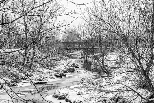 PASSING THROUGH THE PRAIRIE LANDSCAPE