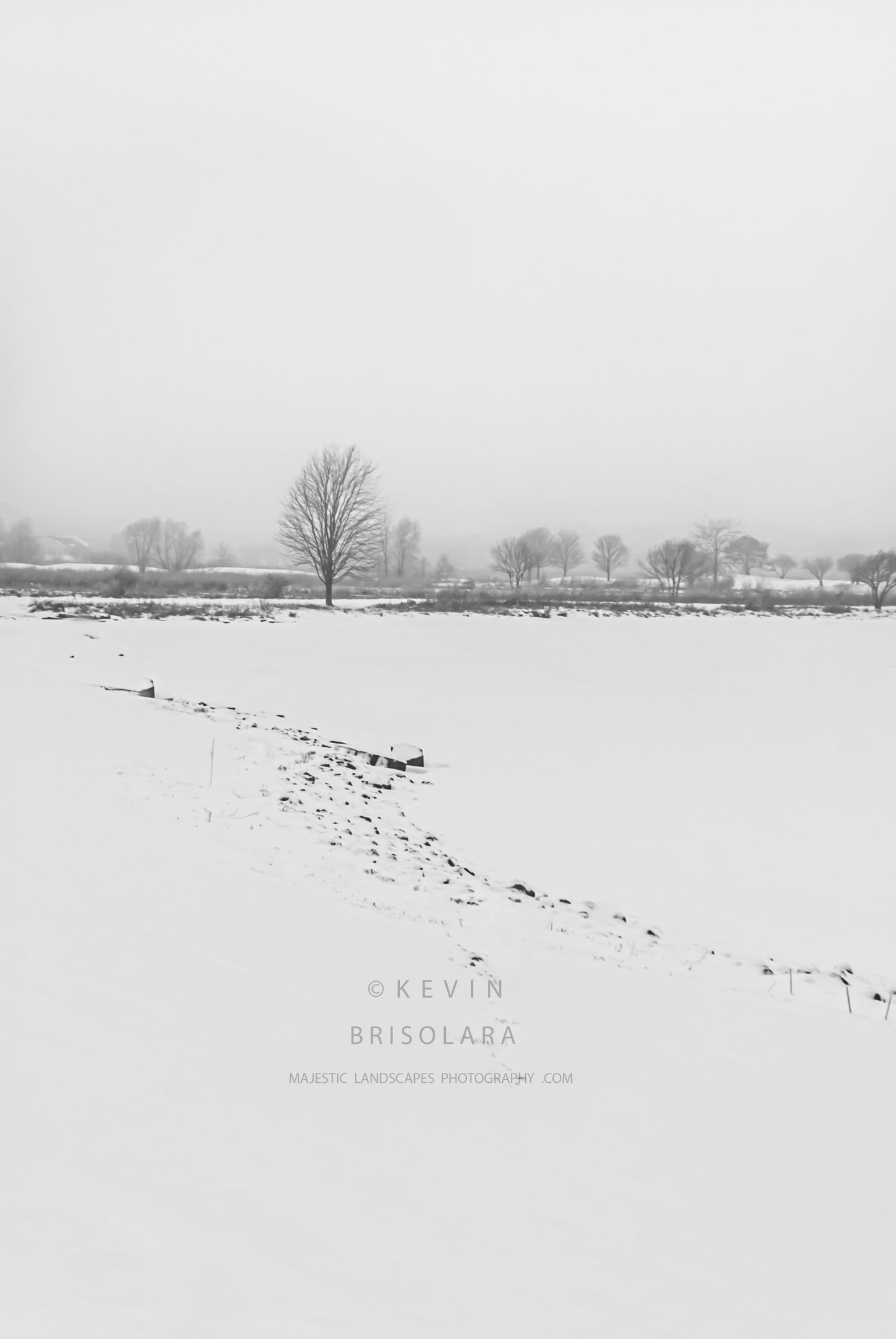 A BEAUTIFUL WINTER SCENE