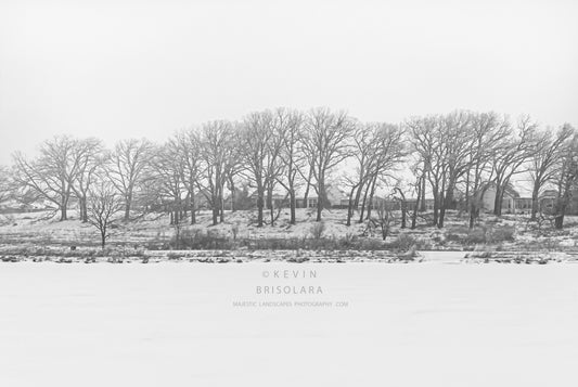 A WINTER MORNING WALK THROUGH THE PARK