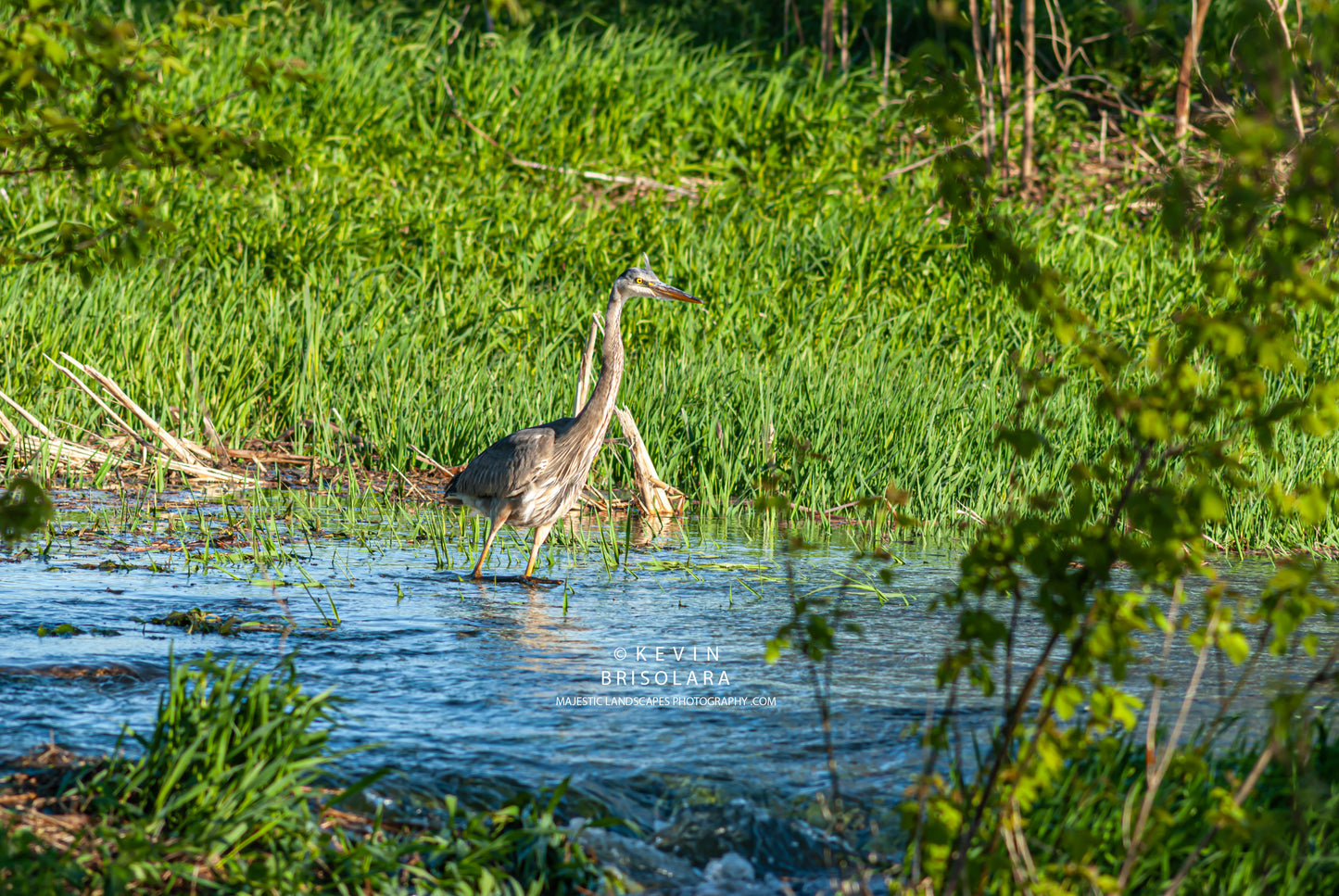 MOVING METHODICALLY THROUGH THE RIVER