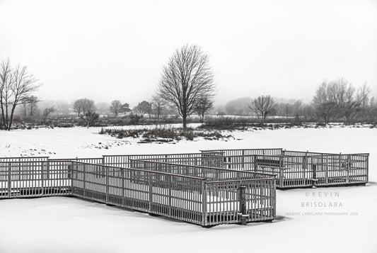 ENJOYING THIS WINTER MORNING IN THE PARK