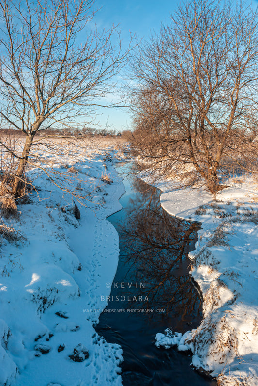 WINTER REFLECTIONS