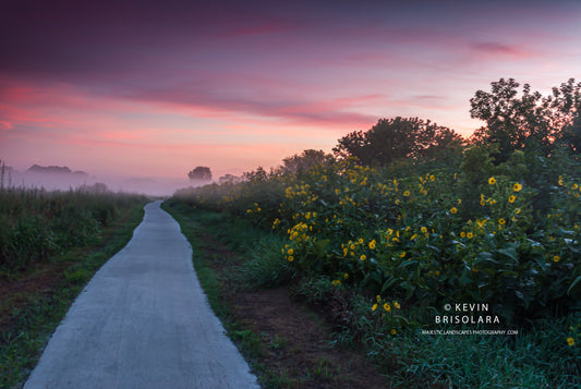 AN EARLY MORNING WALK THROUGH THE PARK
