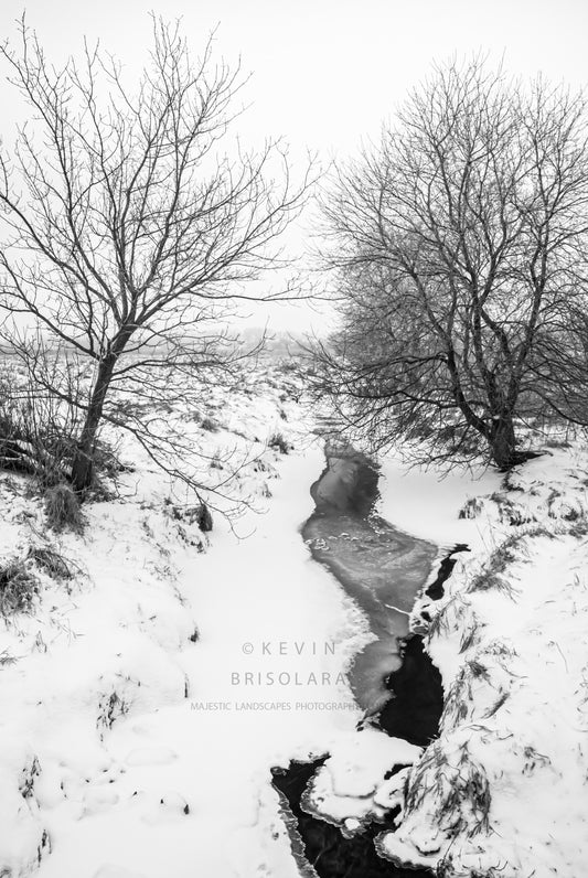 A BEAUTIFUL AND MAJESTIC FEBRUARY MORNING