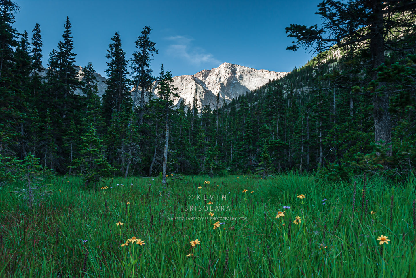 MEADOW VIEWS OF CHIEFS HEAD PEAK