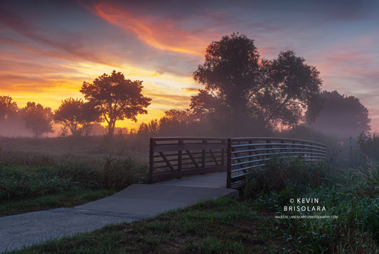 ENJOYING A SUMMER MORNING SUNRISE