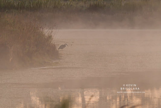 REMAINING MOTIONLESS