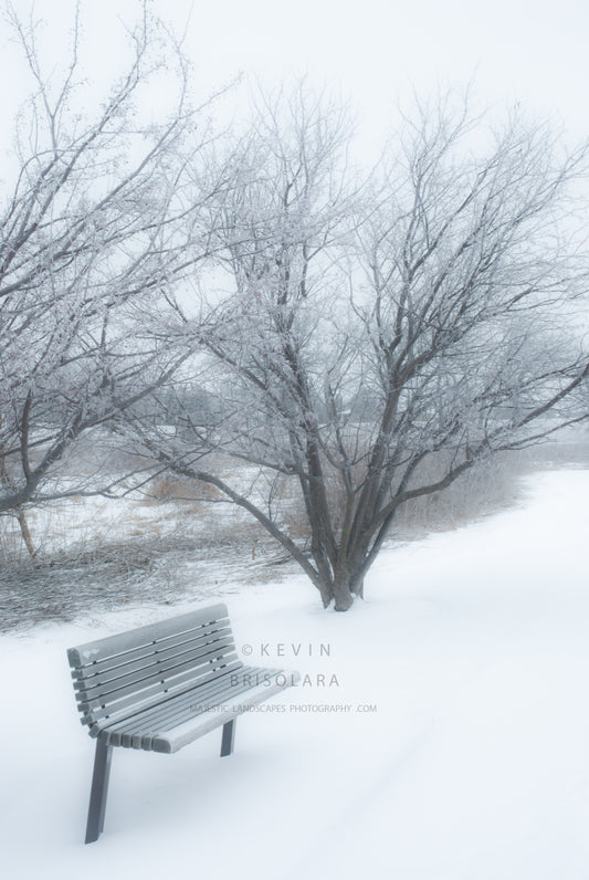 A QUIET AND PEACEFUL WINTER MORNING