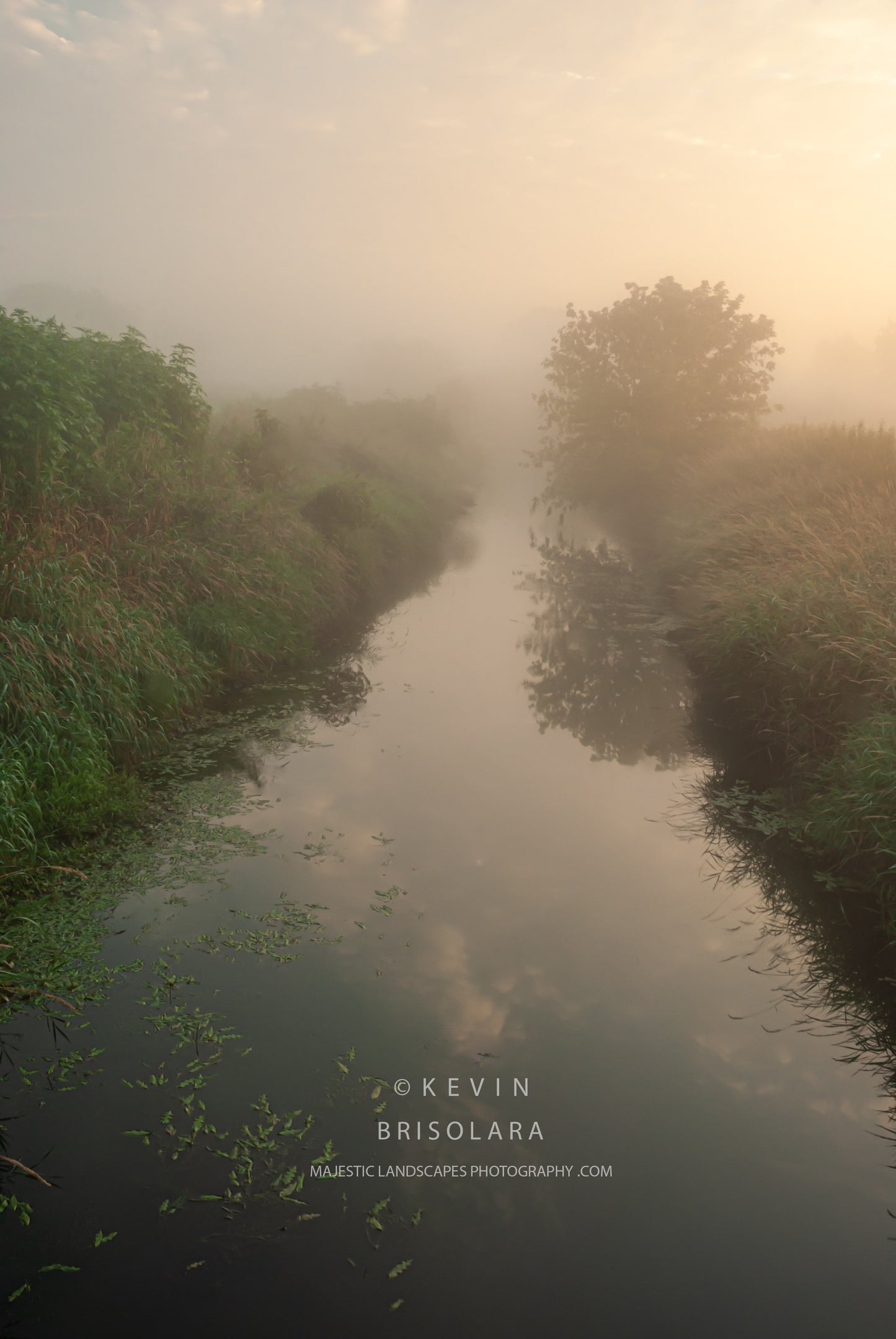 ALONG THE RIVER