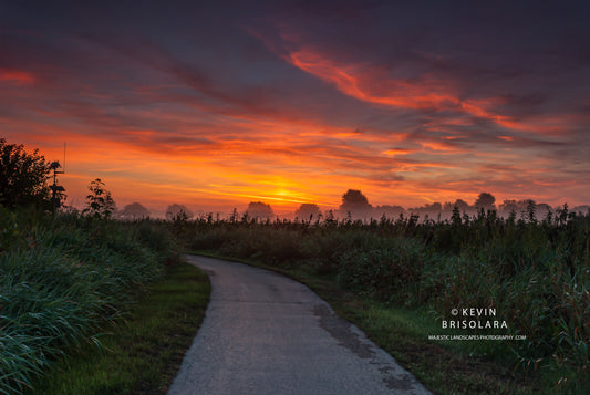 A BEAUTIFUL MISTY SUNRISE STARTS THE DAY