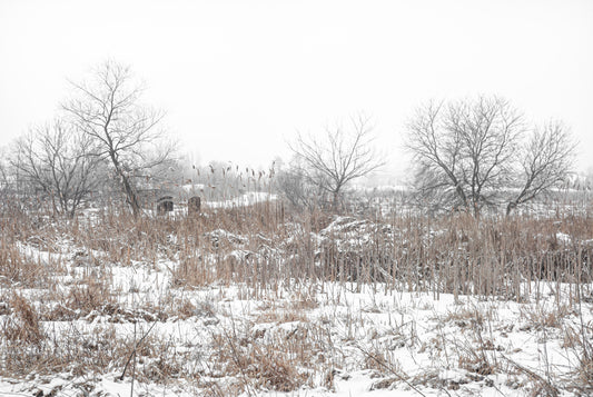 A WALK THROUGH THIS QUAINT PARK