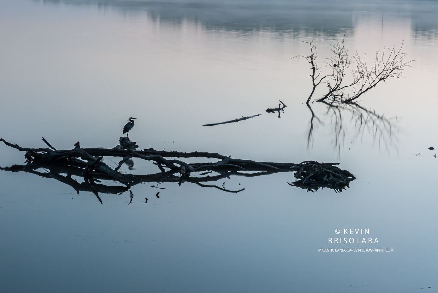 EARLY MORNING BLUES