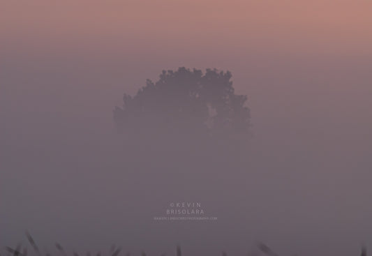 A SUSPENSEFUL MORNING WALK