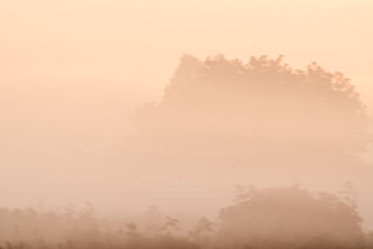 A COLORFUL AND MISTY MORNING