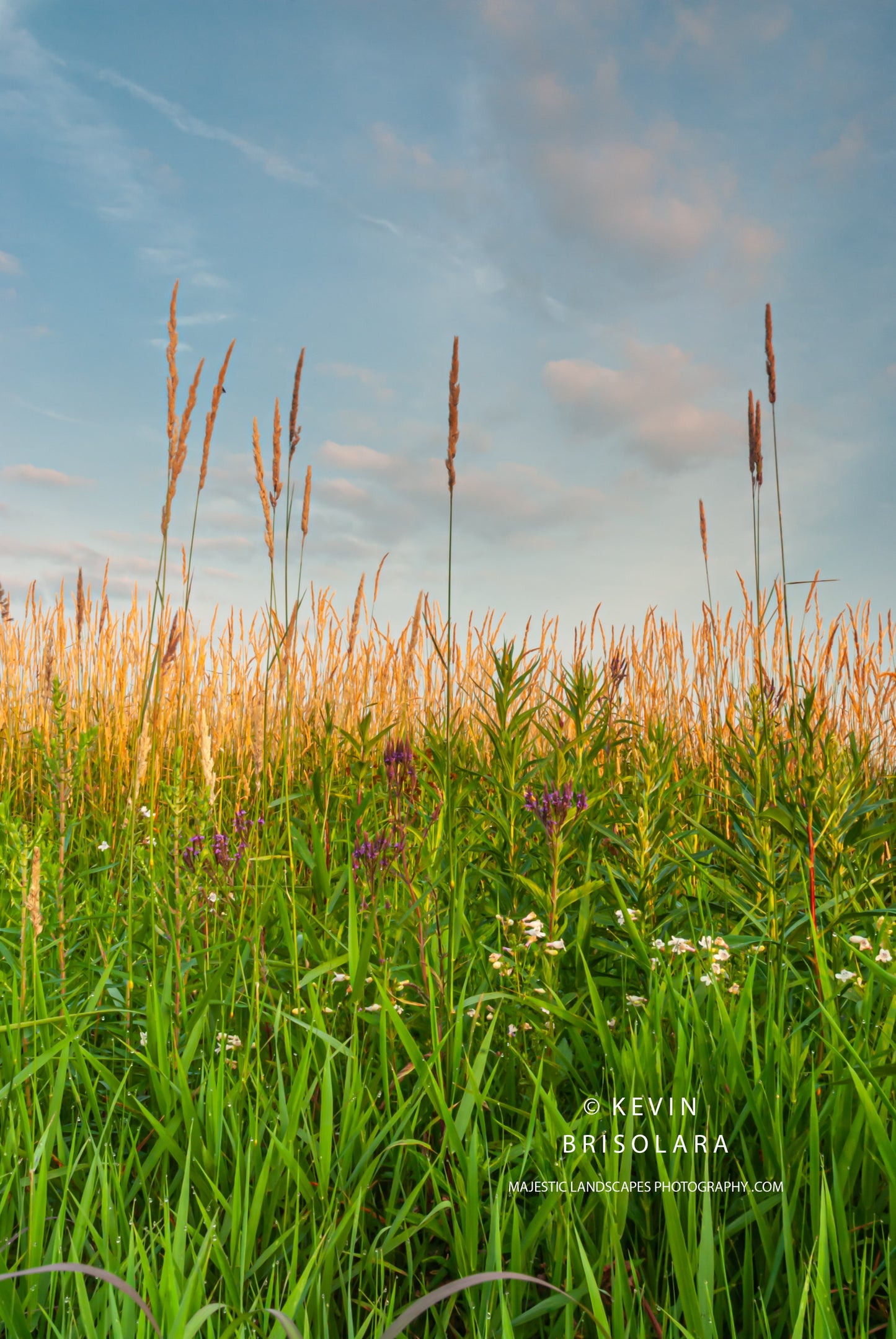 A BEAUTIFUL MORNING FOR A WALK ON THE PRAIRIE
