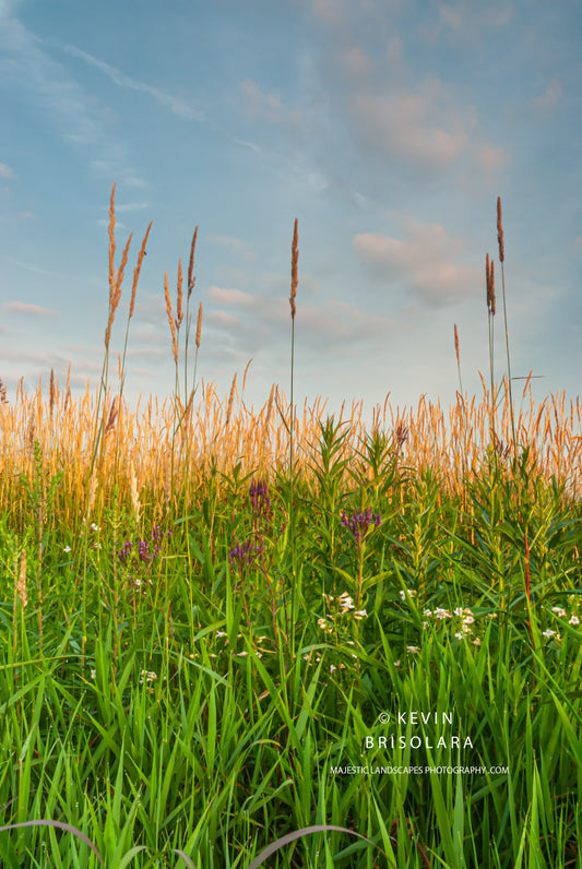 A BEAUTIFUL MORNING FOR A WALK ON THE PRAIRIE