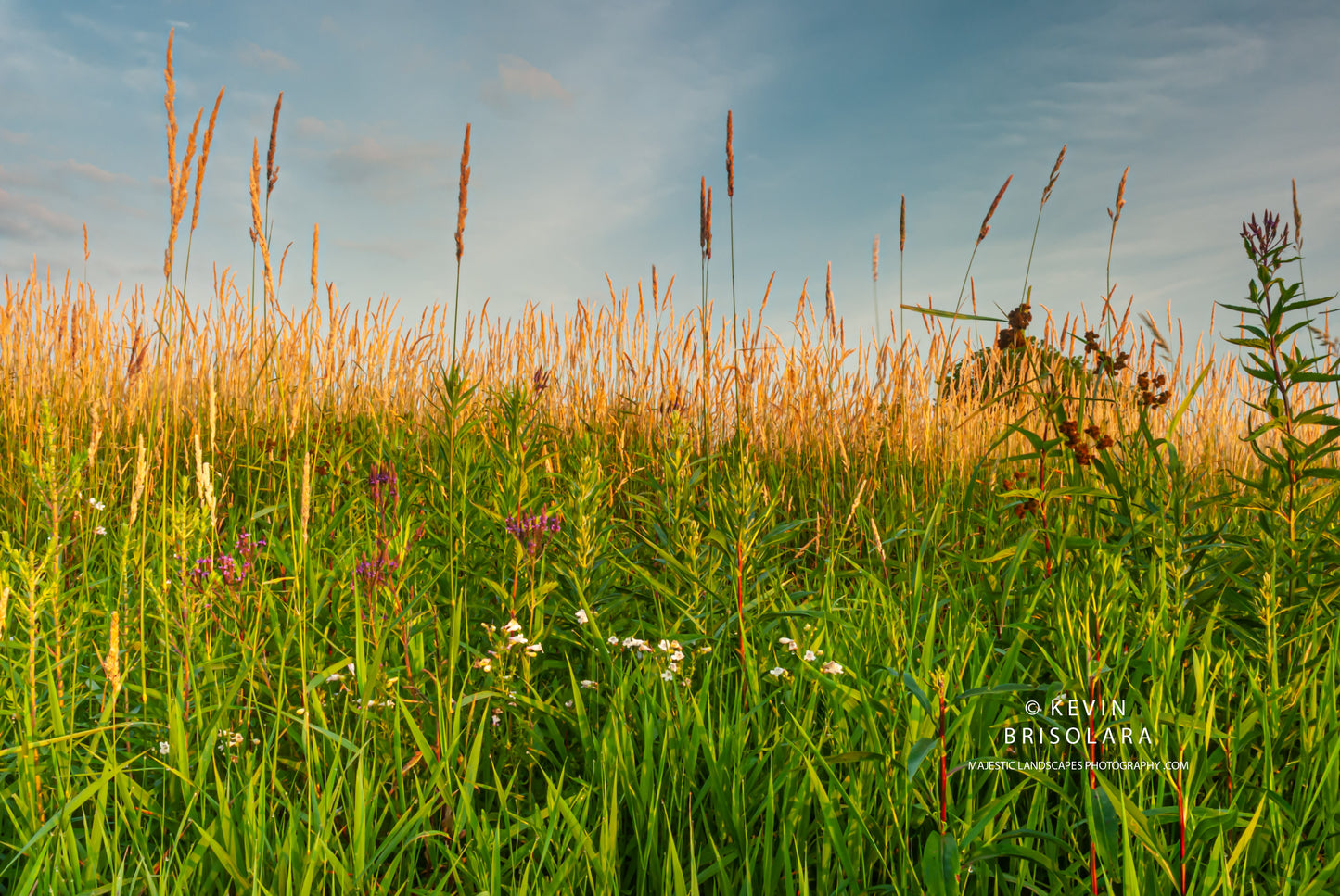 A BEAUTIFUL MORNING ON THE PRAIRIE