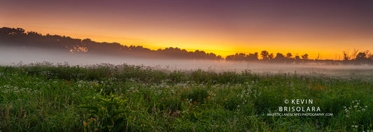A SUMMER MORNING FROM THE PRAIRIE