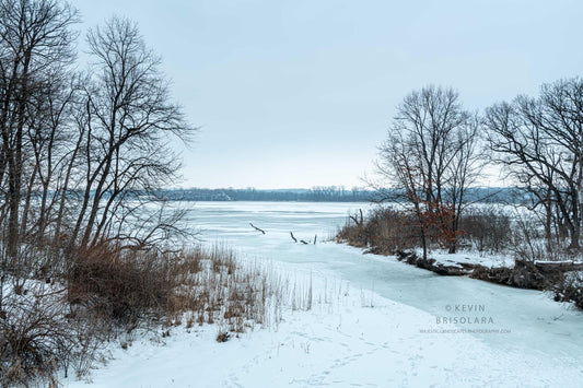 THE MOUTH OF A FROZEN CREEK