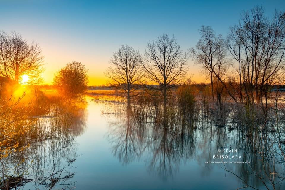 AN EARLY REFLECTION ALONG THE RIVER