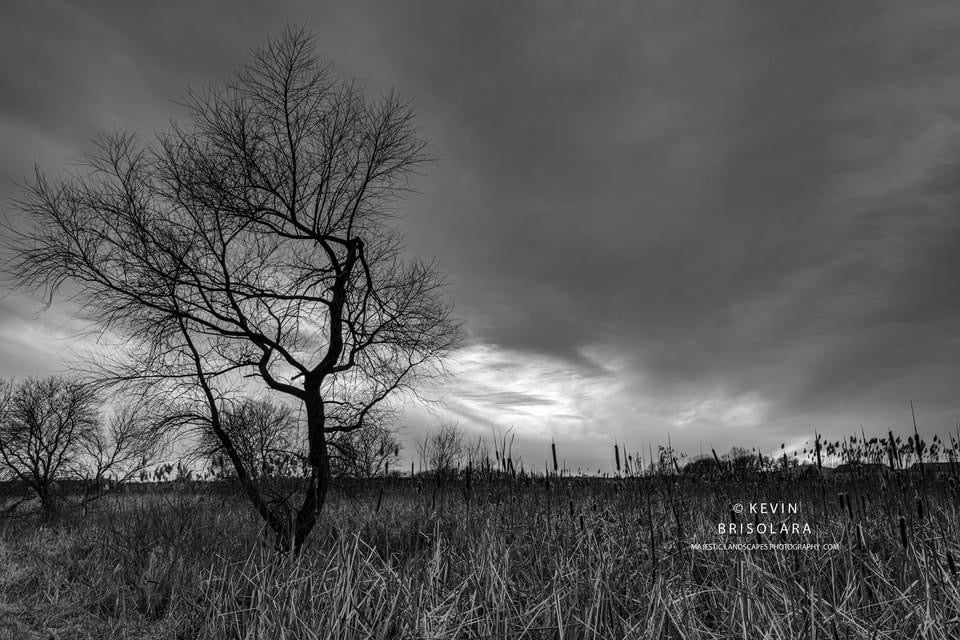 A DRAMATIC SCENE FROM THE PRAIRIE