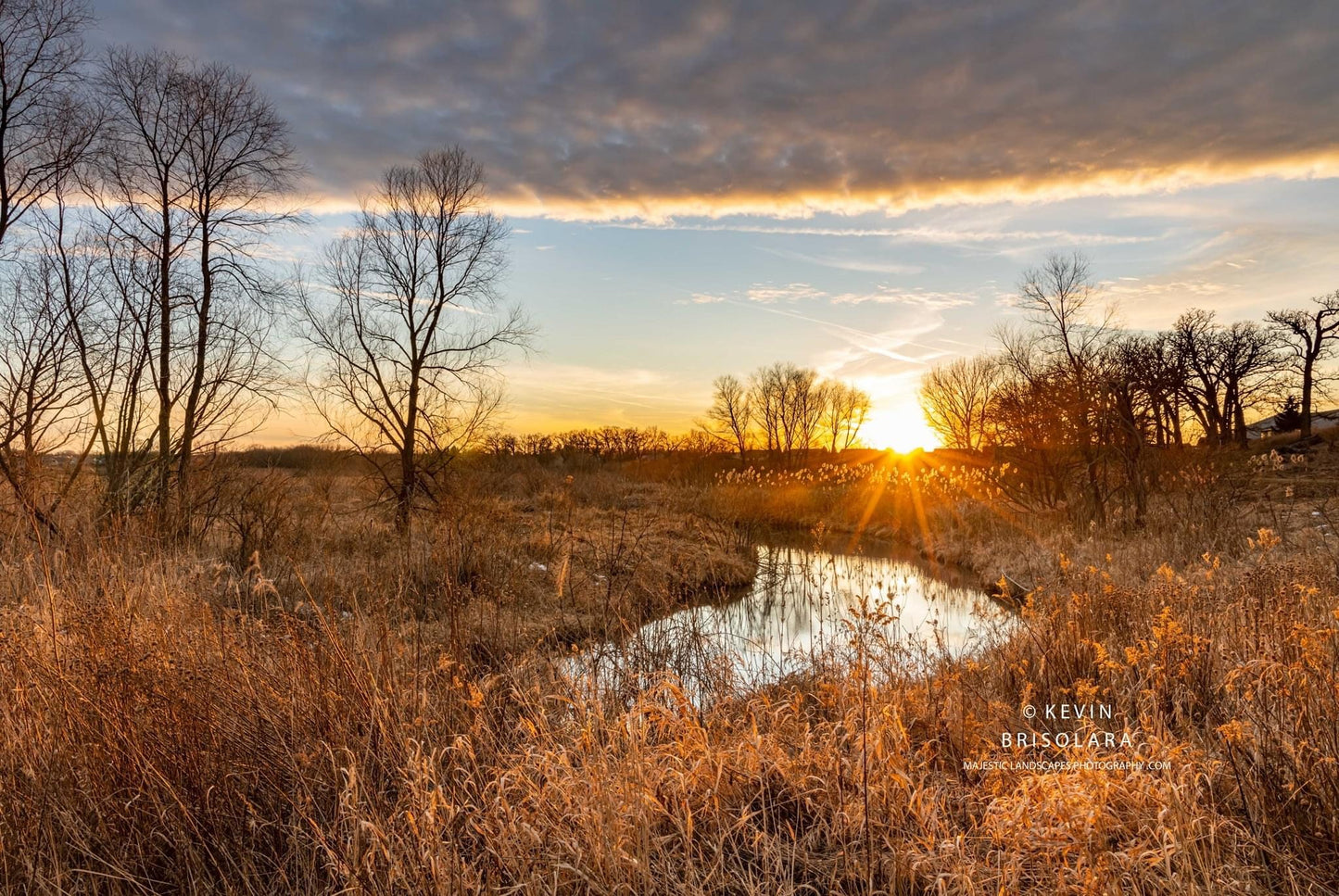 A PRAIRIE SUNBURST