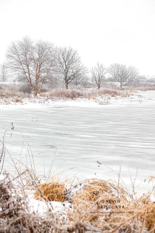 A FROZEN WORLD