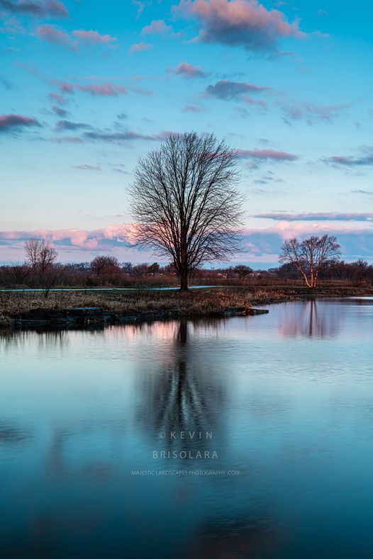 A PICTURESQUE MORNING FROM THE LAKE