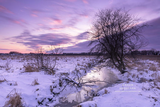 A BEAUTIFUL WINTER PRAIRIE SUNSET