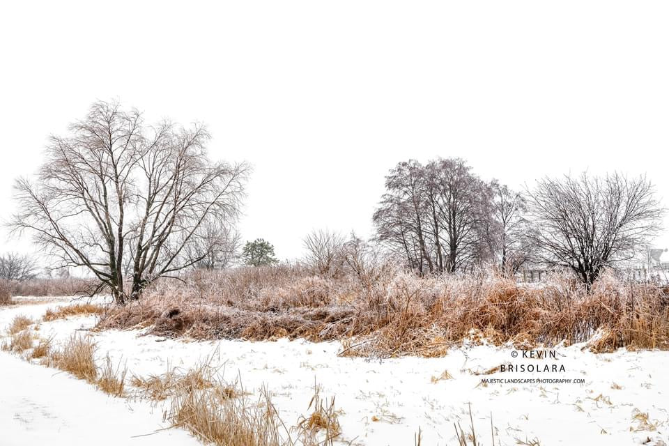 FEELING THE MOOD OF WINTER