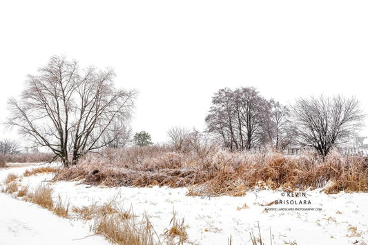 FEELING THE MOOD OF WINTER