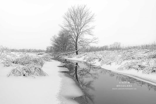 QUIET AND CALM ON THIS WINTER MORNING