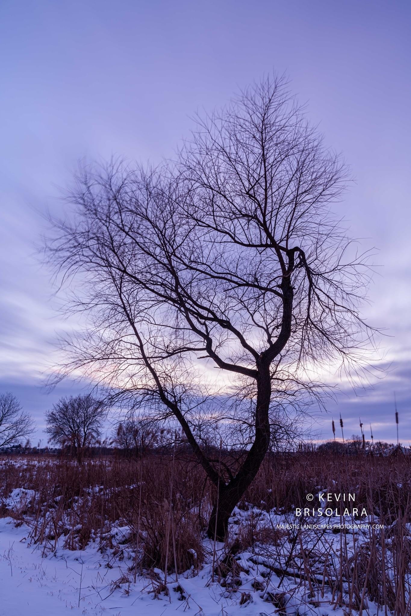 LAST EVENING VIEW FROM THE PRAIRIE