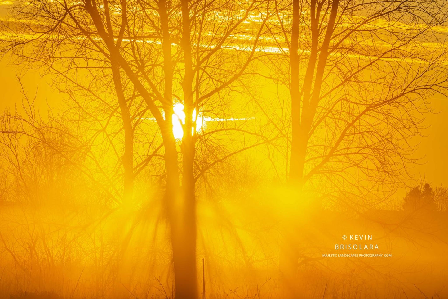 A GOLDEN PRAIRIE LANDSCAPE