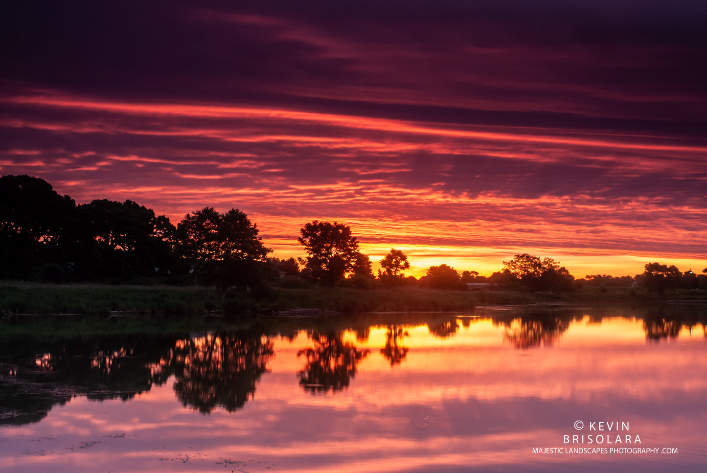 NATURES MORNING SURPRISE