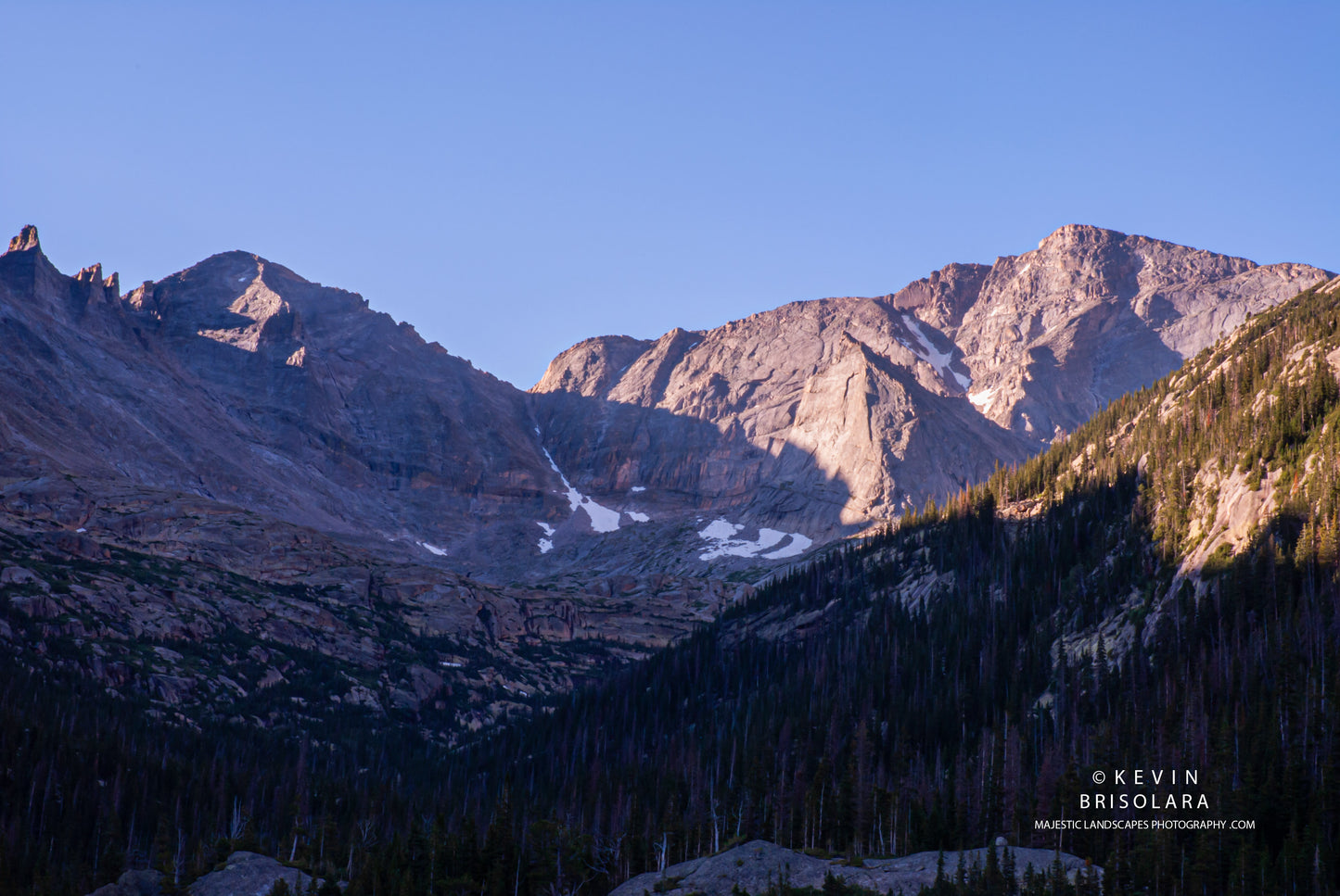 PAGODA AND CHIEFS HEAD