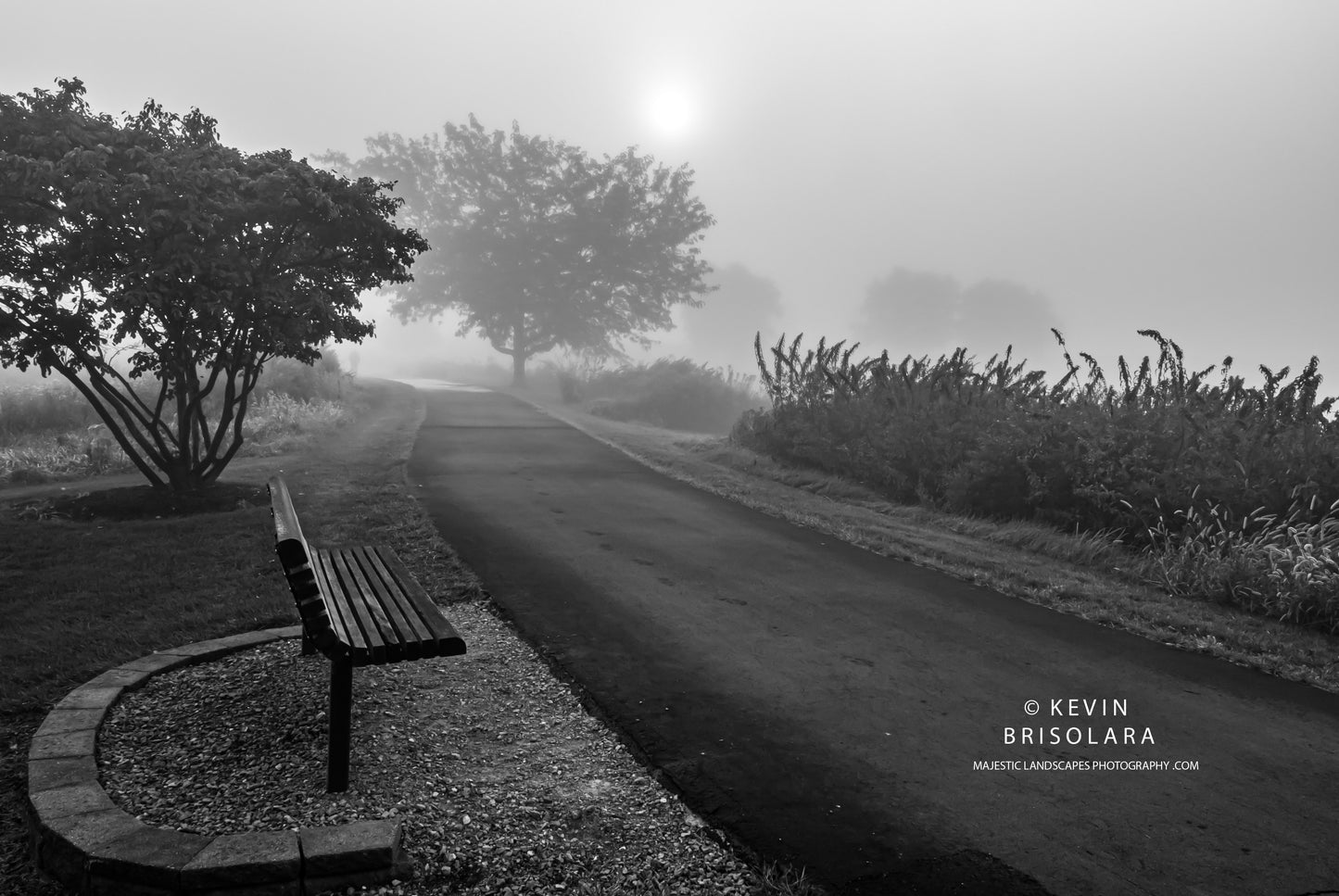 THE PARKS MOOD DURING A SUMMER MORNING