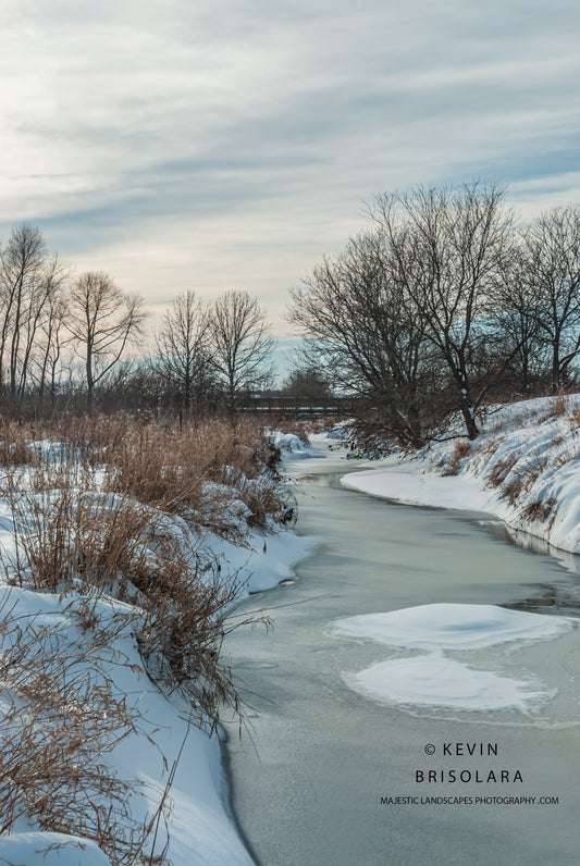 ENJOYING THE WINTER SCENE IN THE PARK