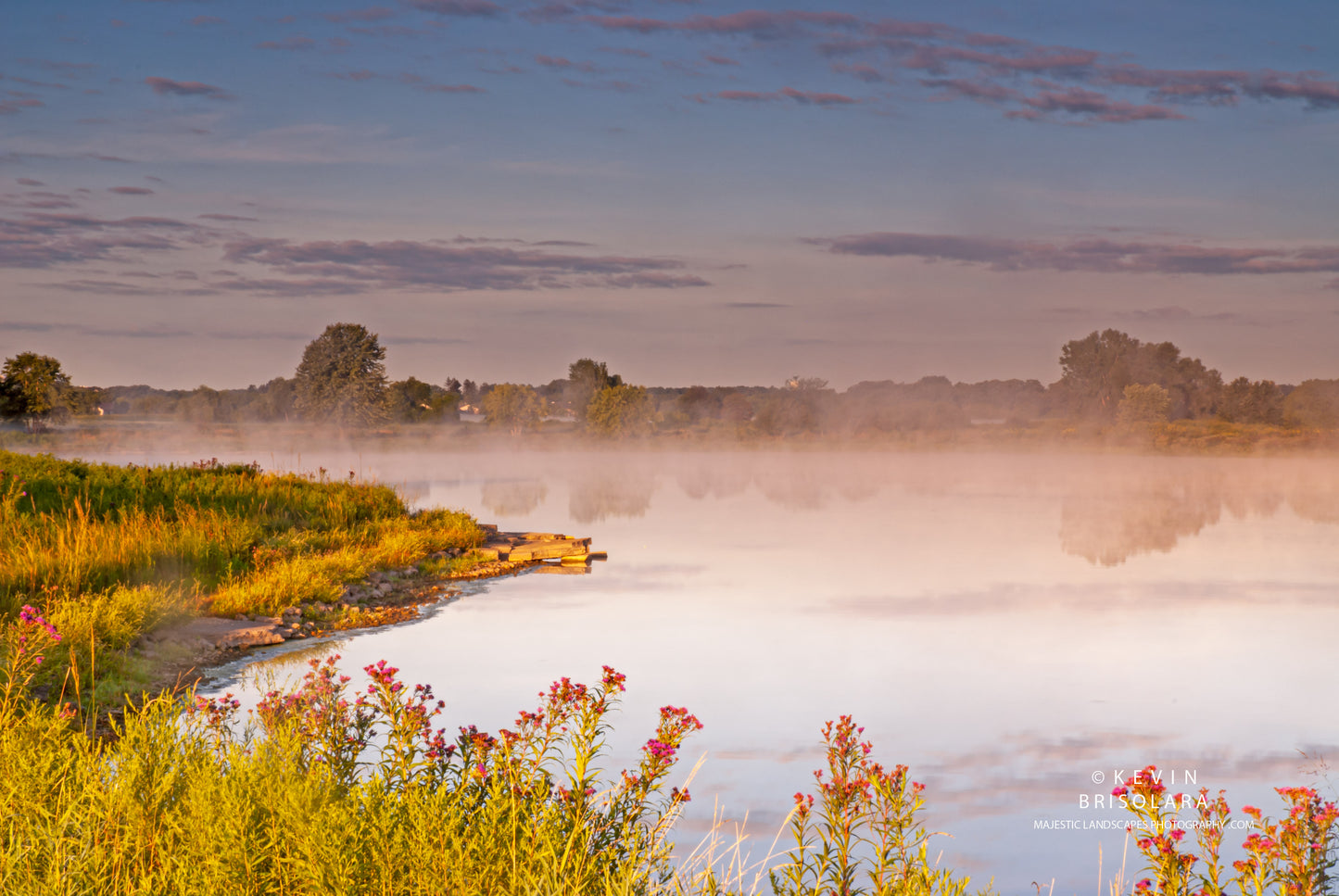 MORNING WILDFLOWERS AT THE LAKE